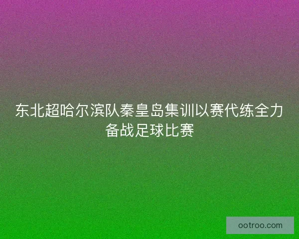 东北超哈尔滨队秦皇岛集训以赛代练全力备战足球比赛